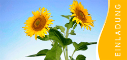 Postkarten Designbeispiel Hochzeit Sonnenblume