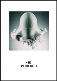 Cover Stephan Risch