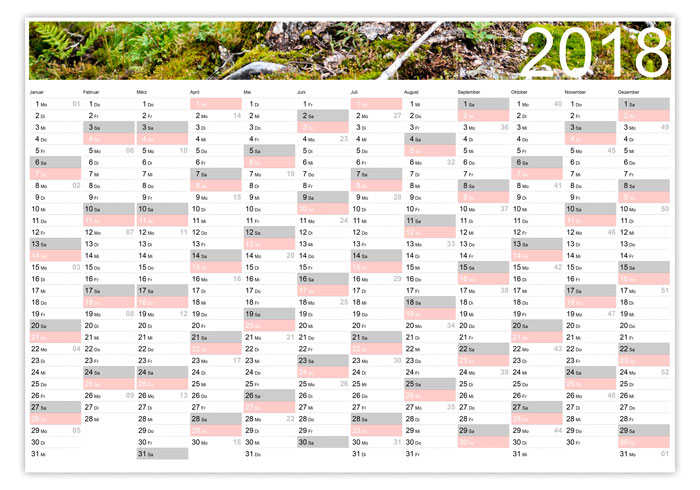 Waldkalender als Jahresplaner
