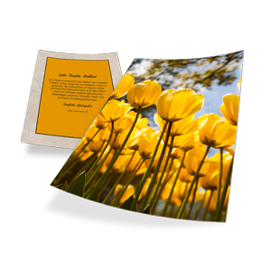 Diese Vorlage ( Oster karte DIN A6 Tulpen gelb) im Online-Gestalter öffnen