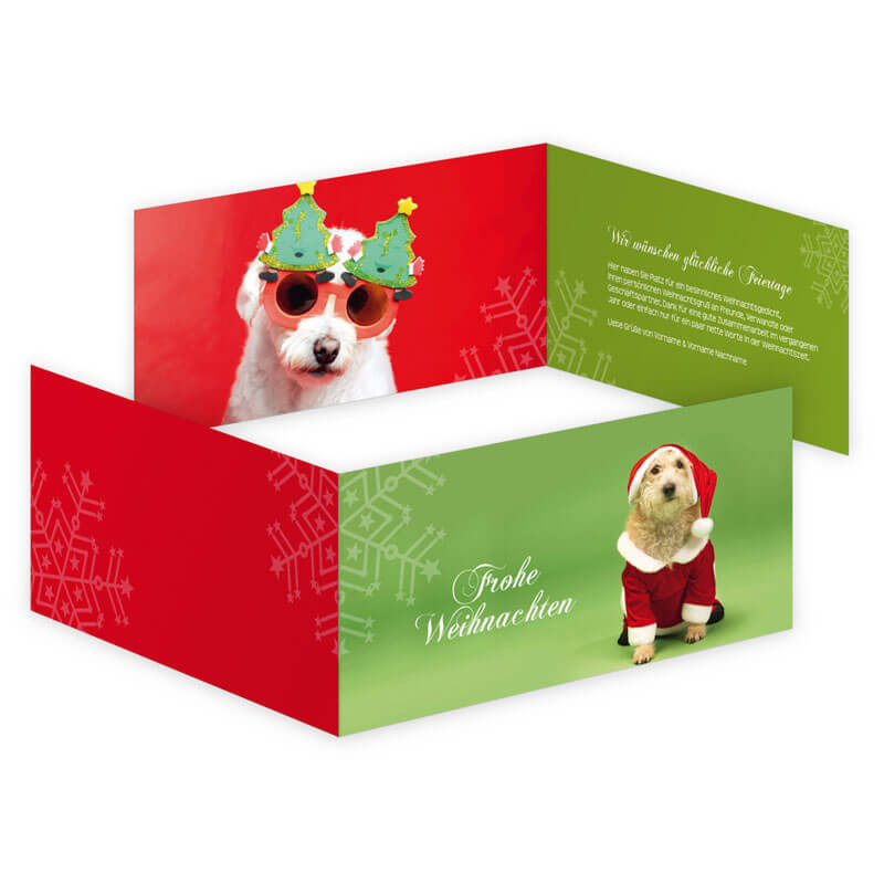 Weihnachtskarte für Menschen, die Spaß verstehen oder Hundeliebhaber