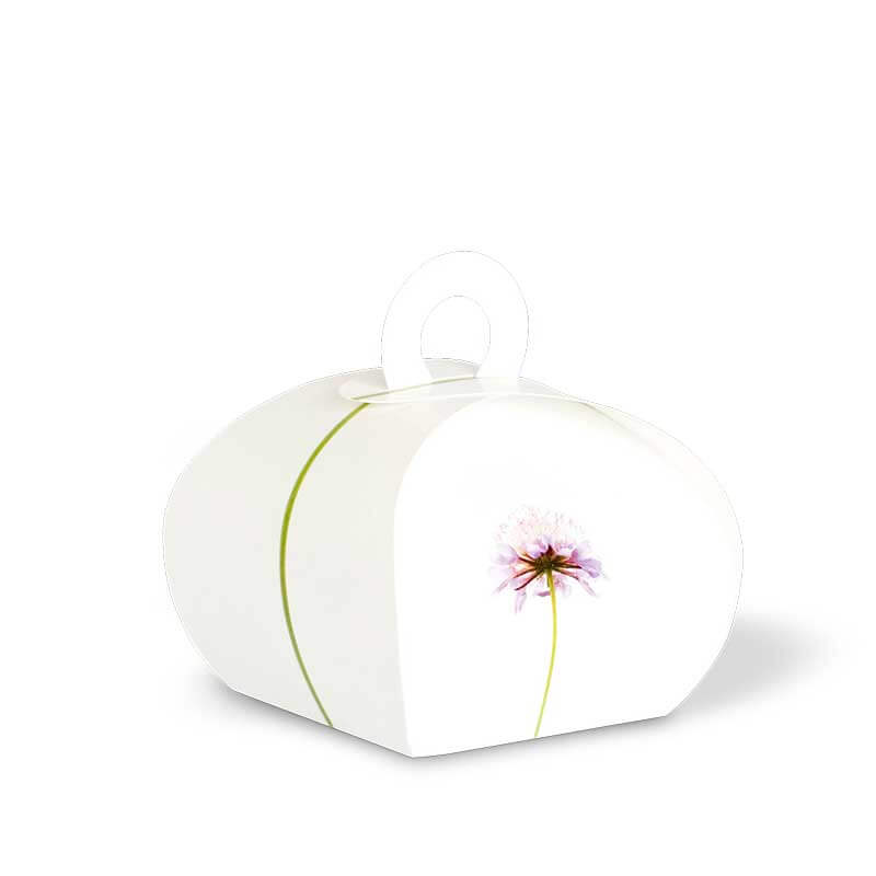 Dezent, romantisch, stilvoll: Blume vor weißem Hintergrund auf individueller Geschenkbox