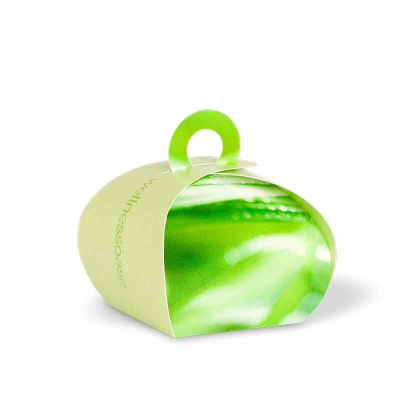 Kreative Box in frischem Grün als orginelle Geschenkverpackung