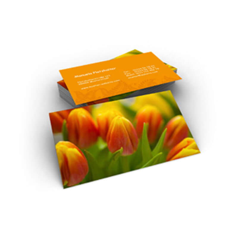 Bei den Deutschen sind Tulpen beliebt wie nie. Hier gestalten Sie Ihre Visitenkarten mit Tulpen.
