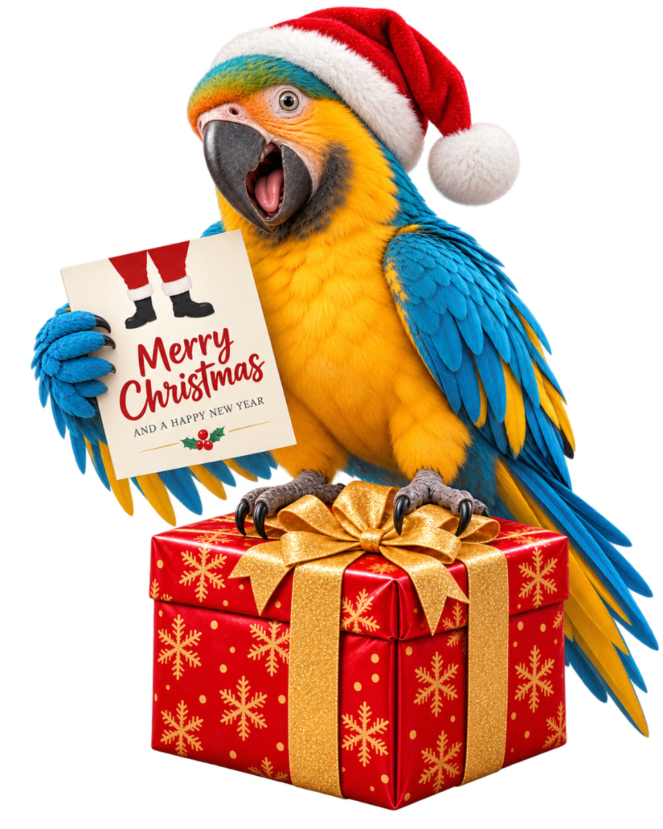 Weihnachtskarten selbst gestalten
